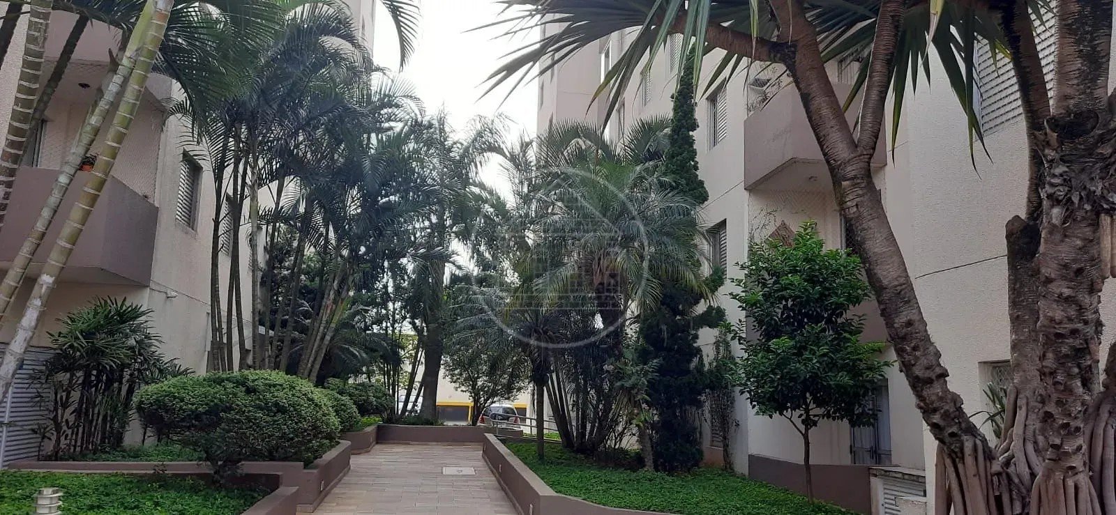 Apartamento, 3 quartos, 60 m² - Foto 1