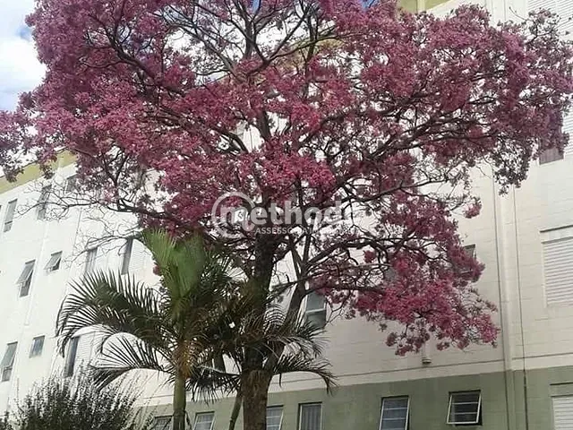 Apartamento com 65m² 2 quartos e 1 banheiro, à venda, no bairro Vila Padre Manoel de Nóbrega em Campinas
