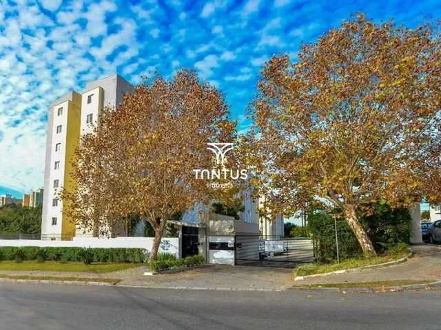 Apartamento 3 quartos e 1 banheiro, para alugar, no bairro Campo Comprido em Curitiba