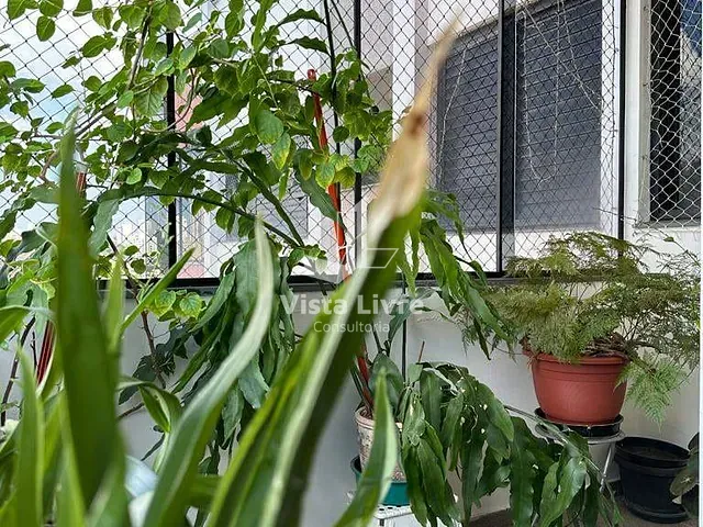 Apartamento com 173m² 4 quartos e 3 banheiros, à venda, no bairro Vila Ipojuca em São Paulo