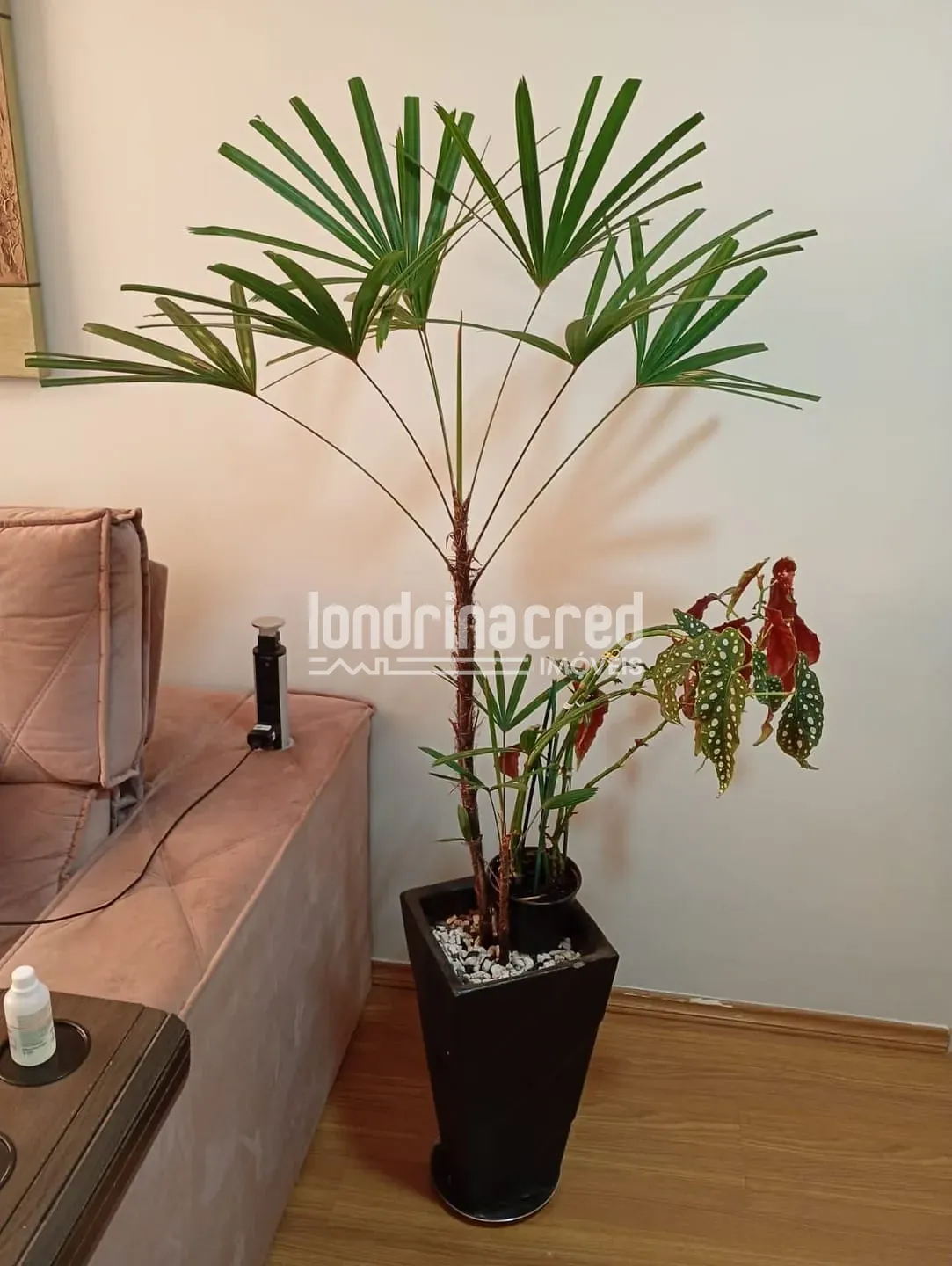 Apartamento, 2 quartos, 46 m² - Foto 14