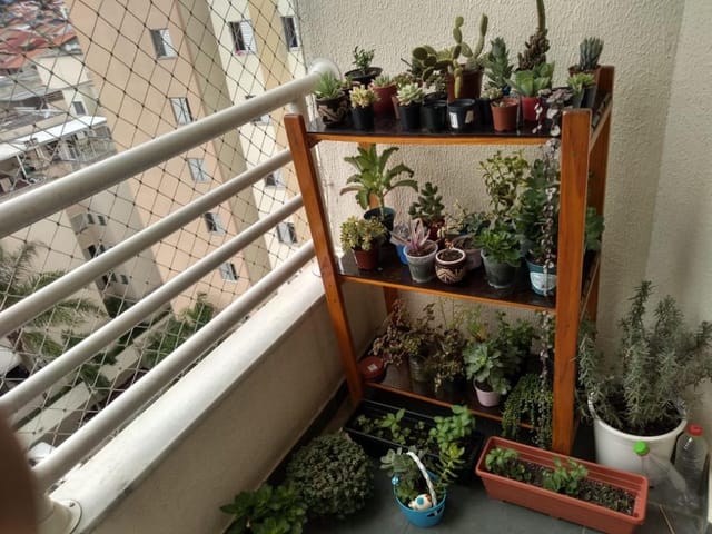 Foto do Apartamento - Apartamento com 3 dormitórios à venda, 65 m² por R$ 291.500,00 - Cidade Morumbi - São José dos Campos/SP | INDEPENDENCE NEGOCIOS IMOBILIARIOS LTDA