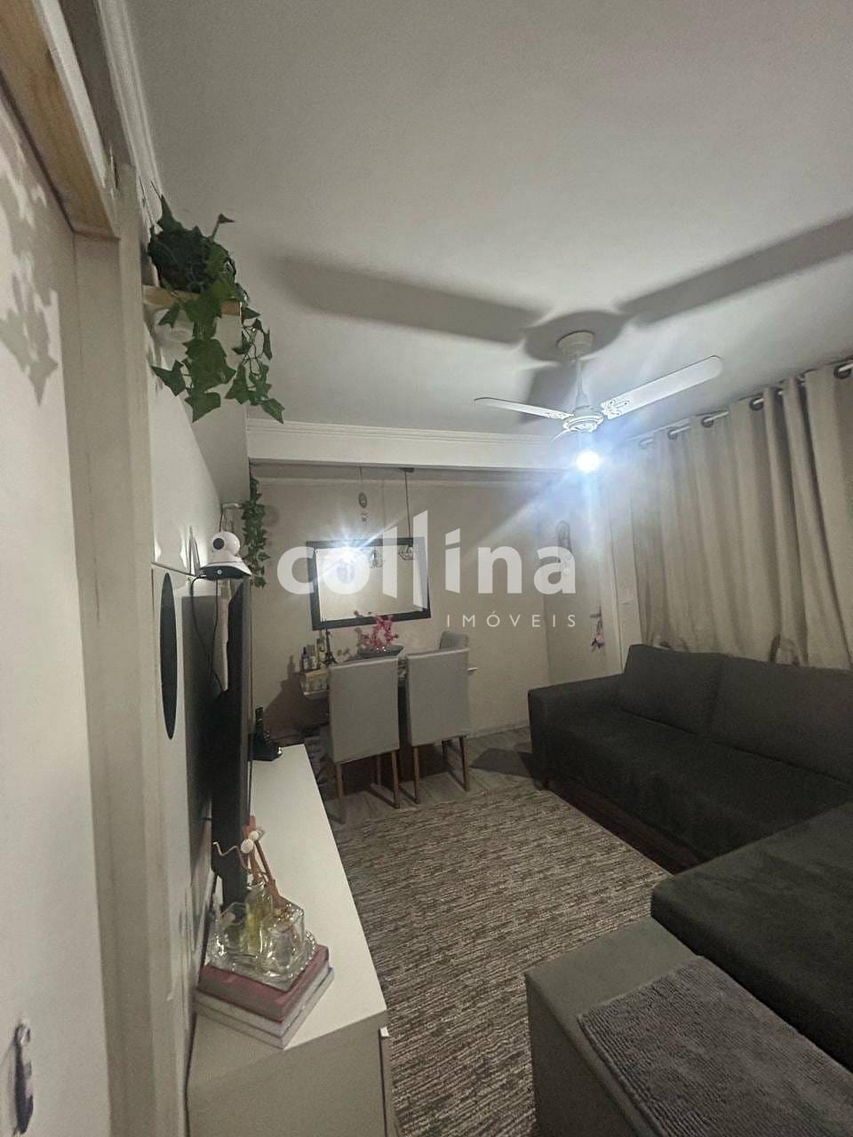 Apartamento à venda com 2 quartos, 40m² - Foto 3