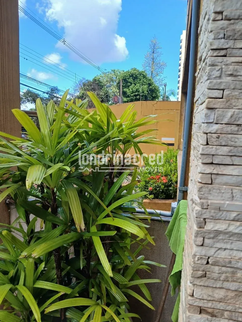 Apartamento, 3 quartos, 170 m² - Foto 1