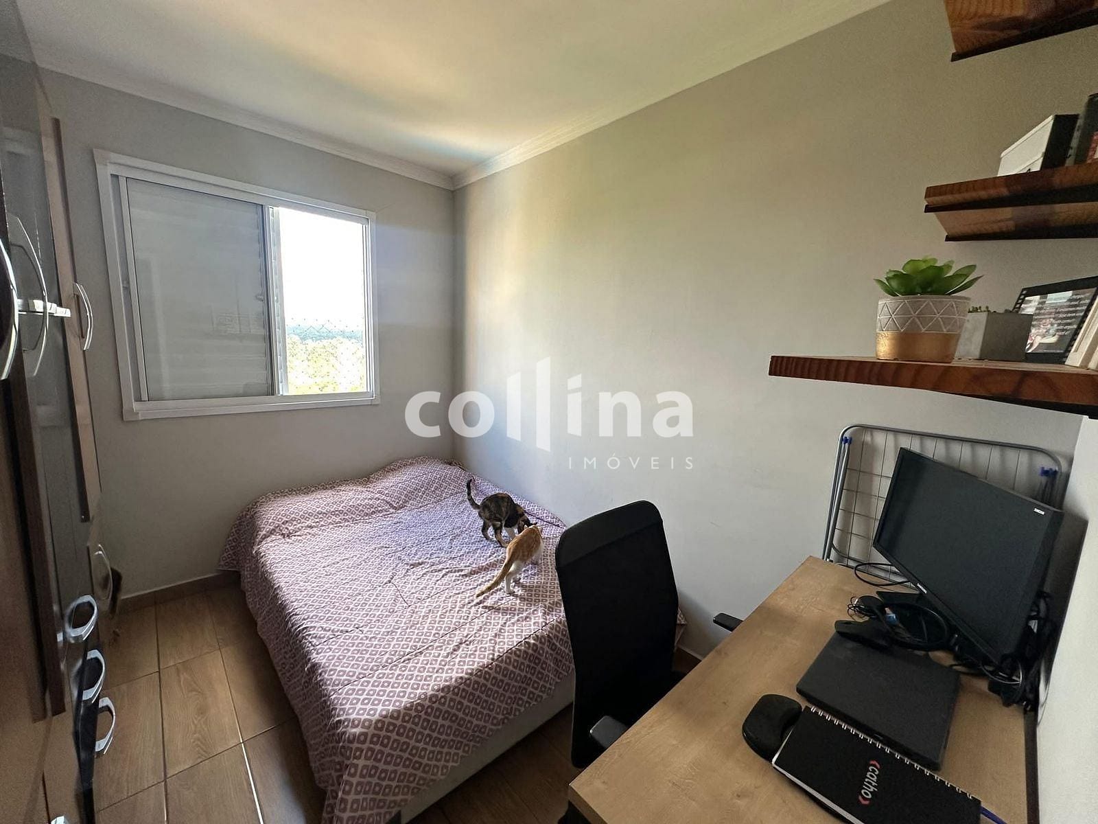 Apartamento à venda com 3 quartos, 55m² - Foto 9