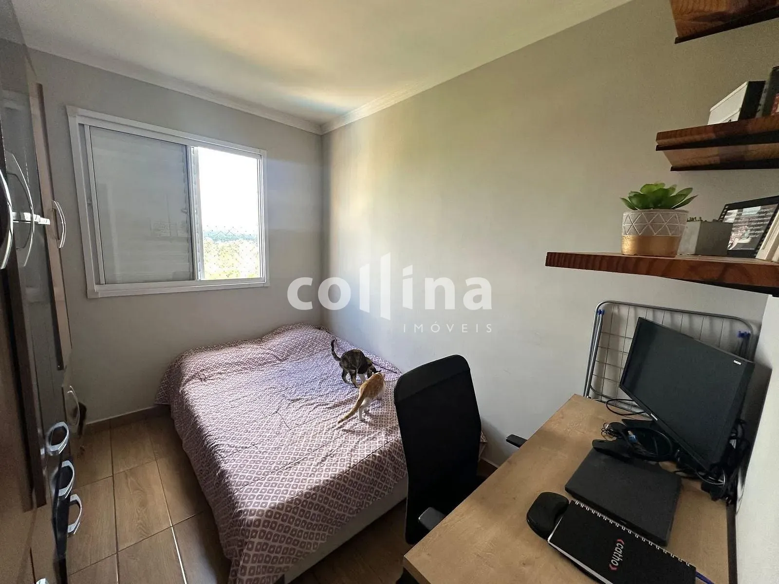 Apartamento, 3 quartos, 55 m² - Foto 9