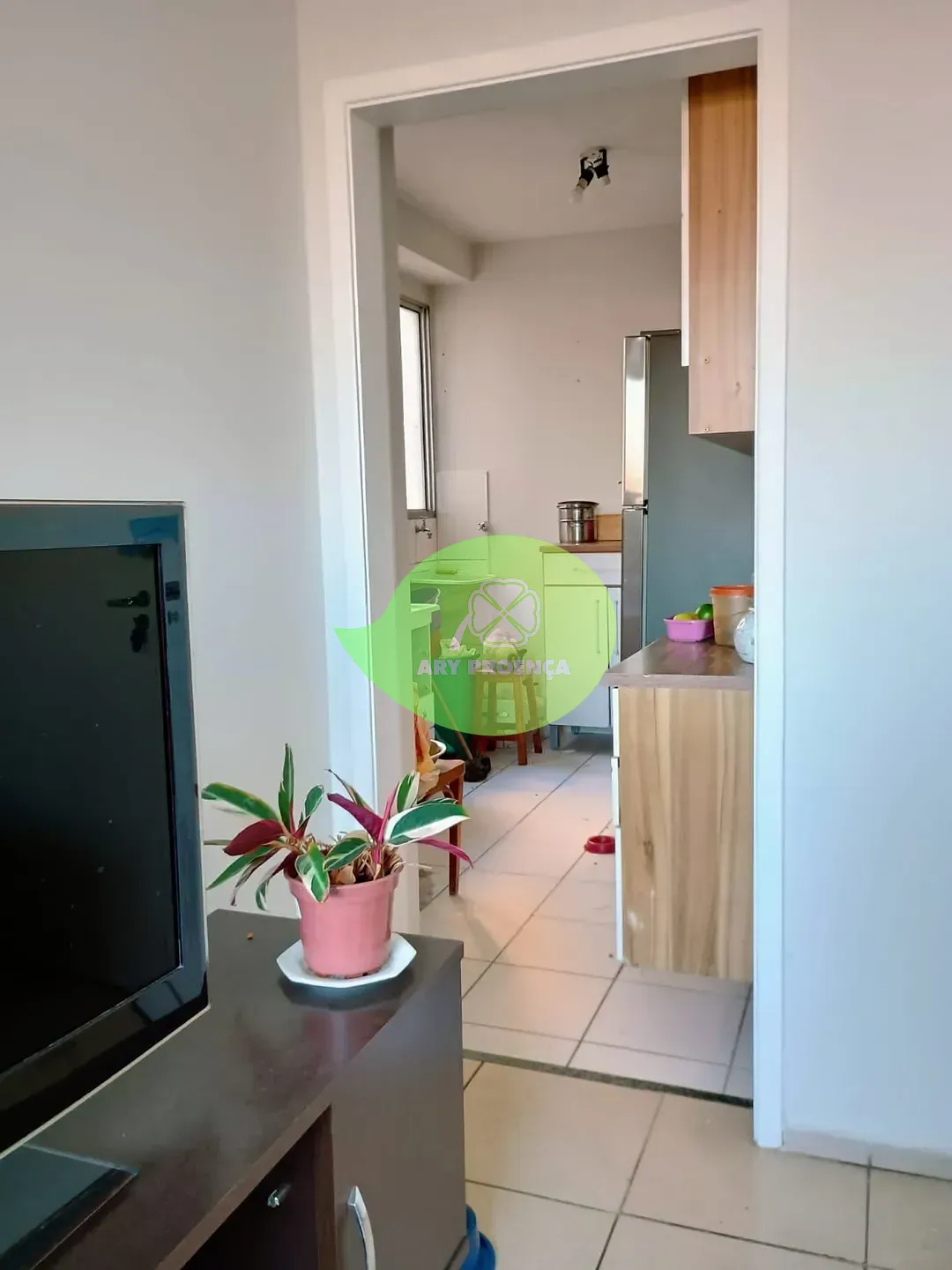 Foto 12