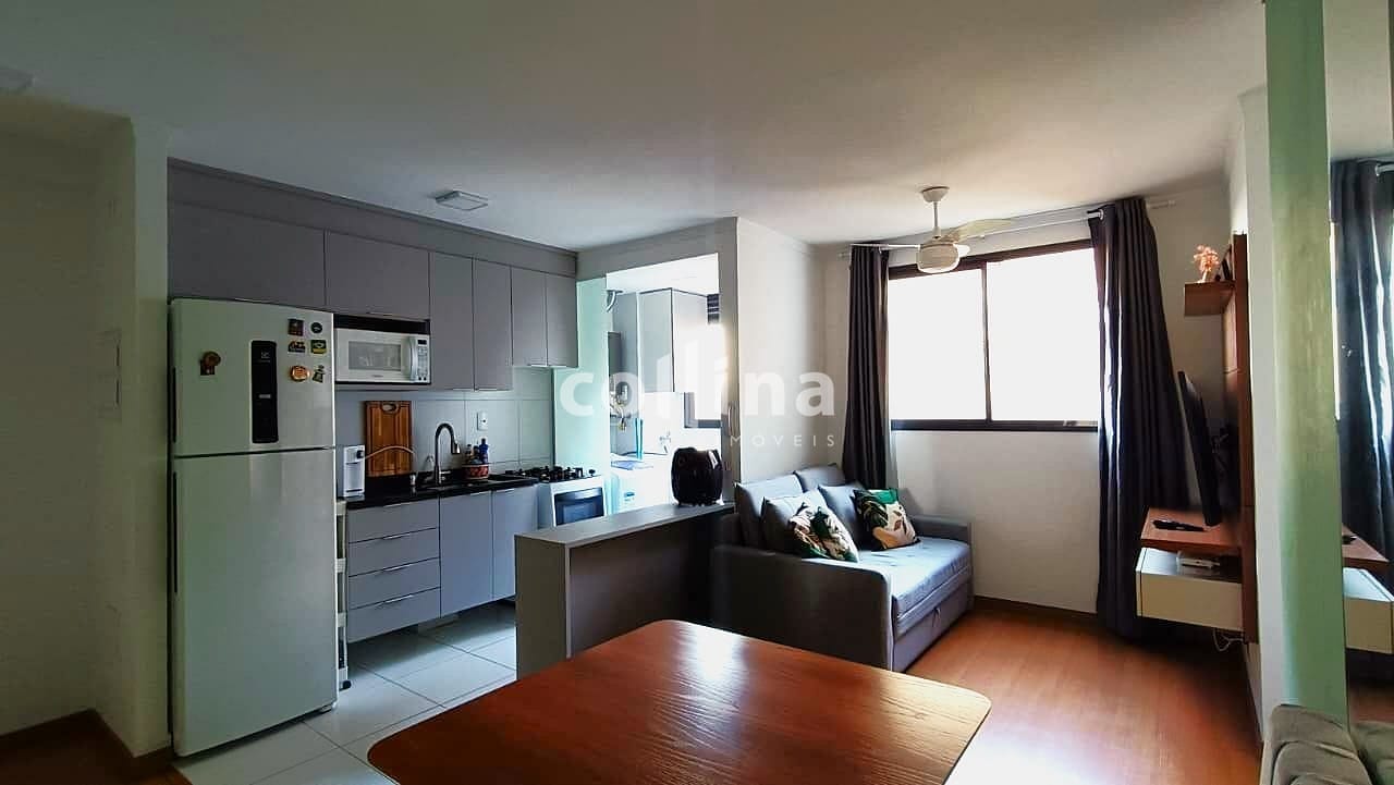 Apartamento, 2 quartos, 44 m² - Foto 2