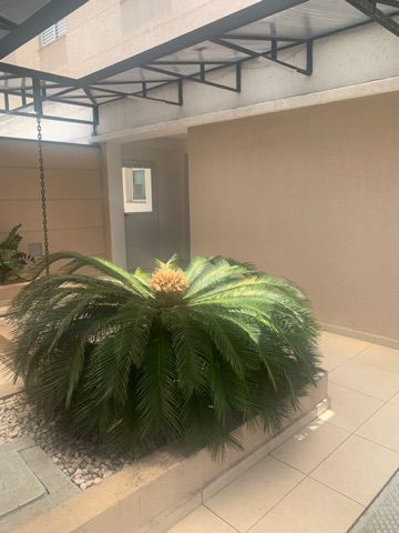 Apartamento 3 quartos e 2 banheiros, para alugar, no bairro Tabaú em Pindamonhangaba