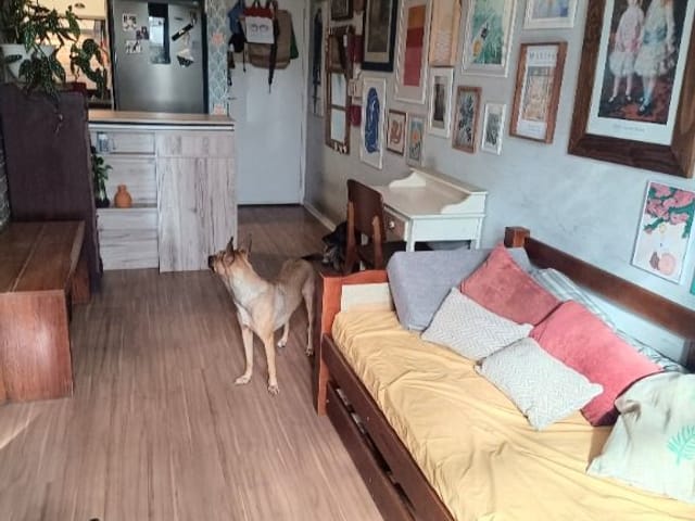 Apartamento com 96m² 2 quartos e 1 banheiro, à venda, no bairro Bairro Jardim Nossa Senhora das Graças em Cotia