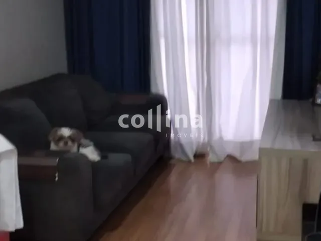 Apartamento com 44m² 2 quartos e 1 banheiro, à venda, no bairro São Pedro em Osasco