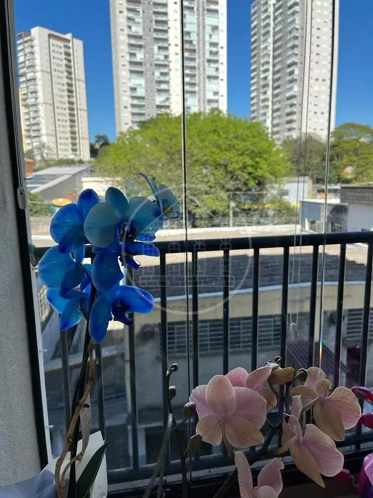 Apartamento, 3 quartos, 67 m² - Foto 13