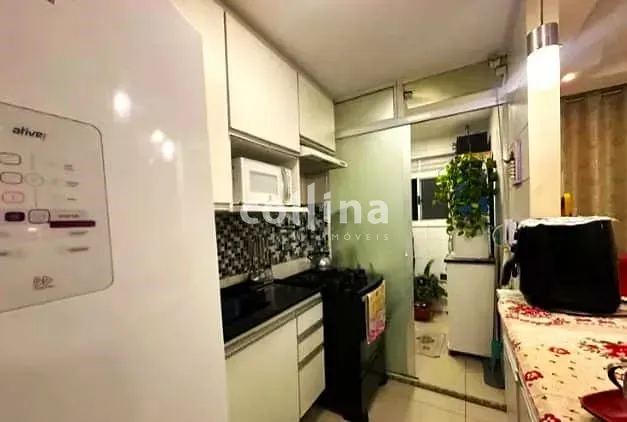 Apartamento, 2 quartos, 50 m² - Foto 14