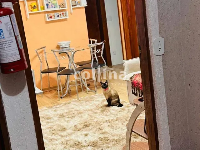 Apartamento com 48m² 2 quartos e 1 banheiro, à venda, no bairro Parque Viana em Barueri