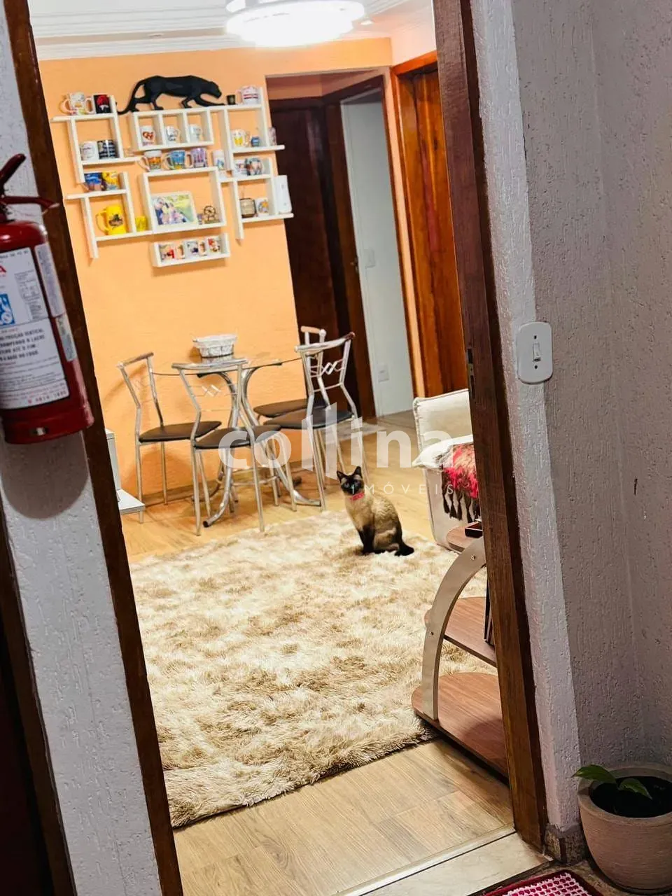 Apartamento, 2 quartos, 48 m² - Foto 5