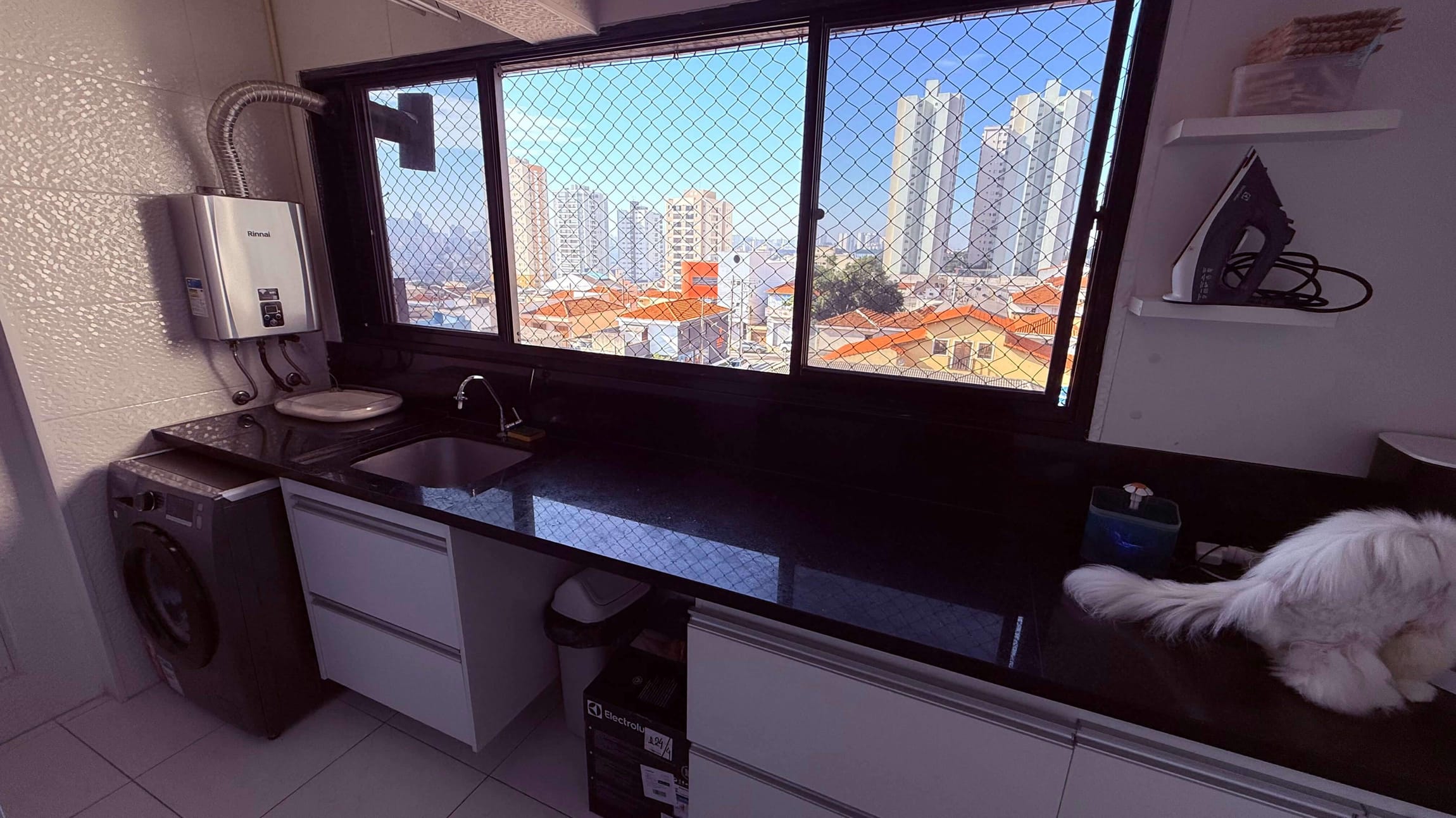 Miniatura