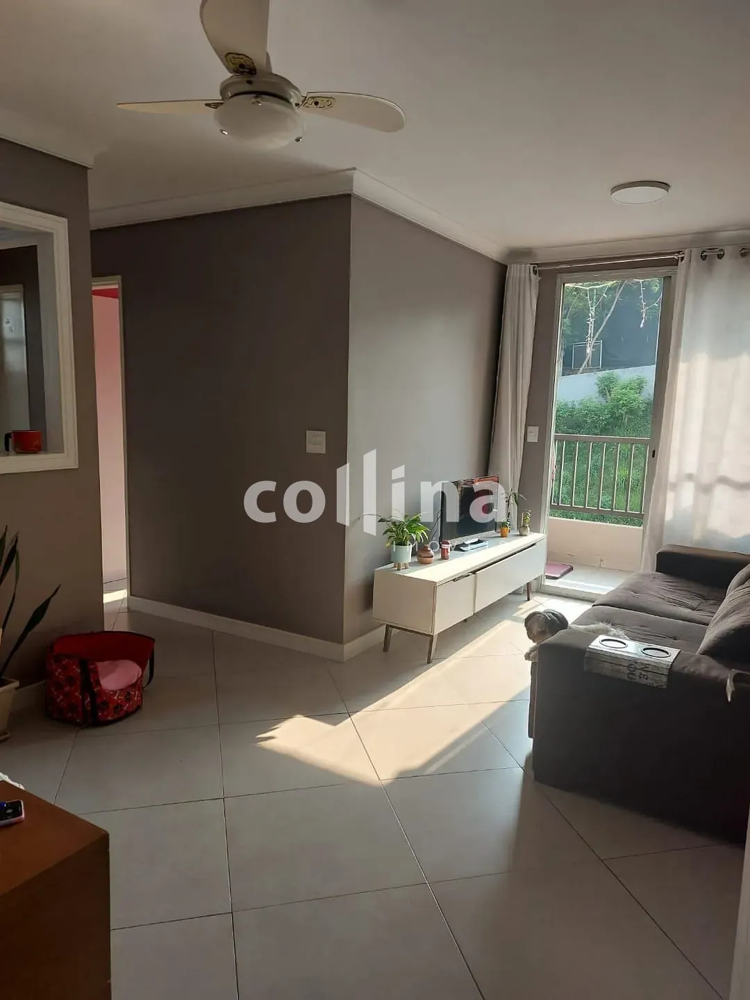 Apartamento, 2 quartos, 50 m² - Foto 4