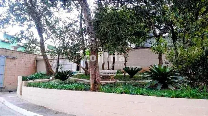 Apartamento, 3 quartos, 70 m² - Foto 43