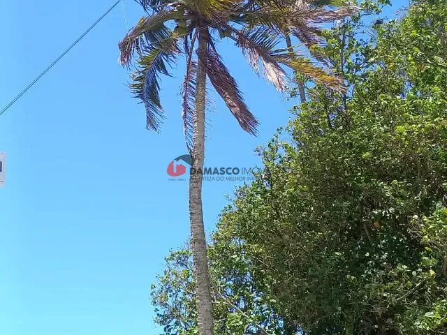 Apartamento com 69m² 2 quartos e 1 banheiro, para alugar, no bairro Enseada em Guarujá