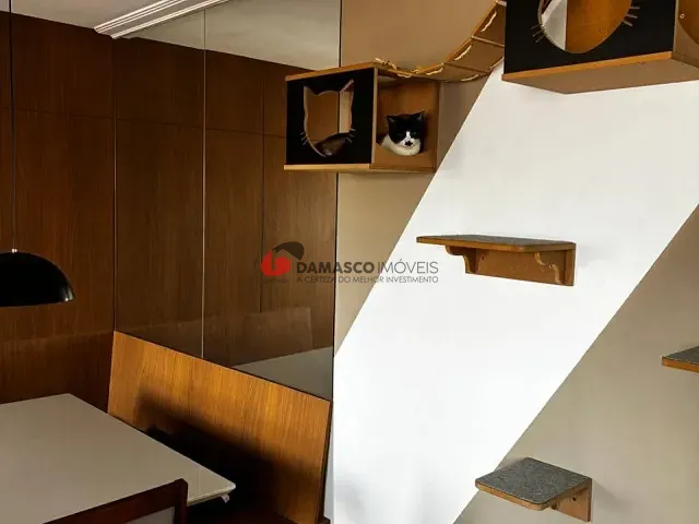 Apartamento 2 quartos e 1 banheiro, à venda, no bairro Vila Palmares em Santo André