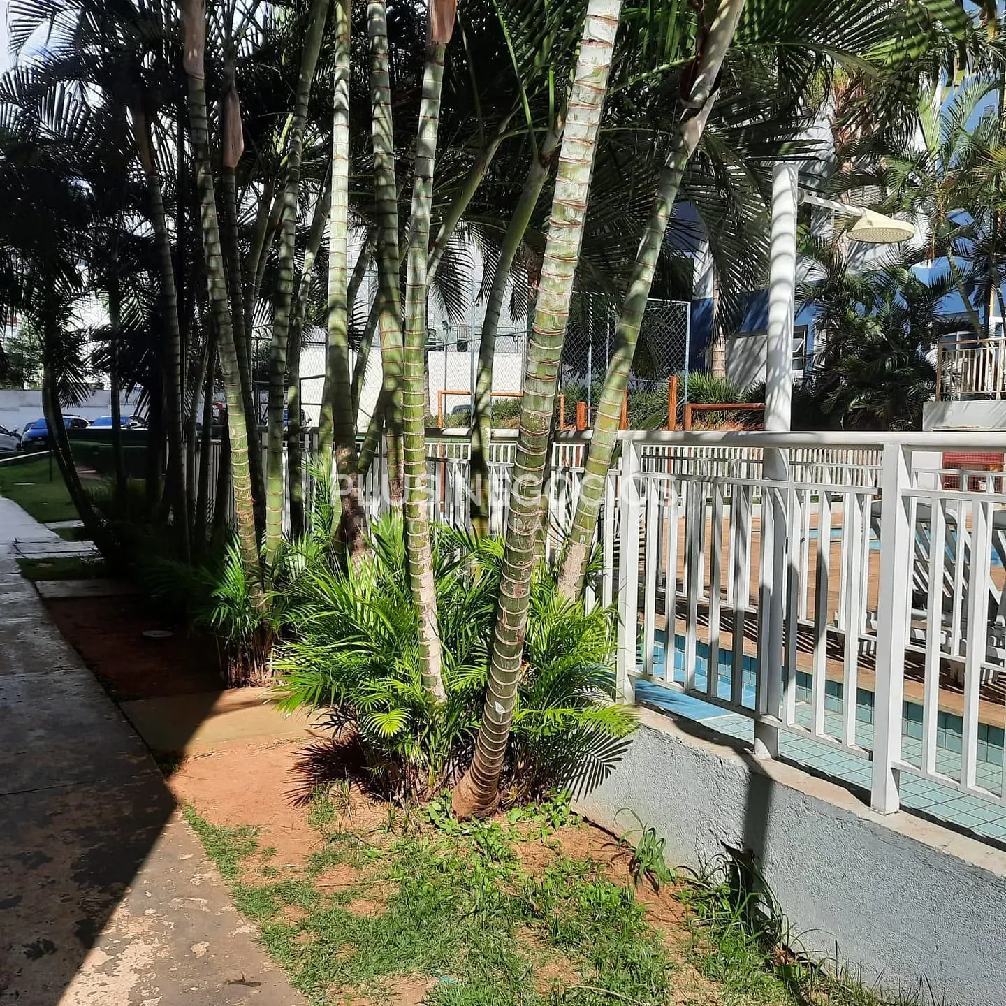 Apartamento, 2 quartos, 50 m² - Foto 12