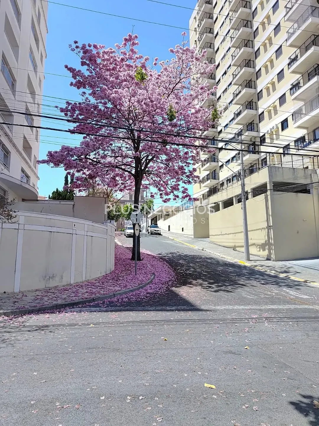 Apartamento, 3 quartos, 101 m² - Foto 21
