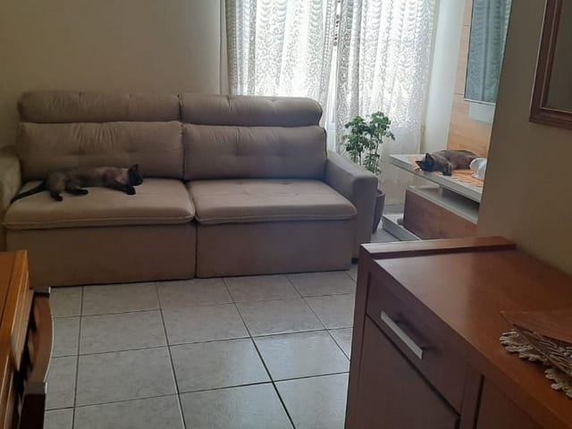 Foto do Apartamento - Apartamento padrão à Venda, Vila Palmeiras, São Paulo, SP | Pitale Imóveis Ltda.
