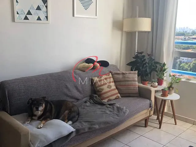 Apartamento 2 quartos e 1 banheiro, à venda, no bairro Jardim Pinheiros em São Paulo