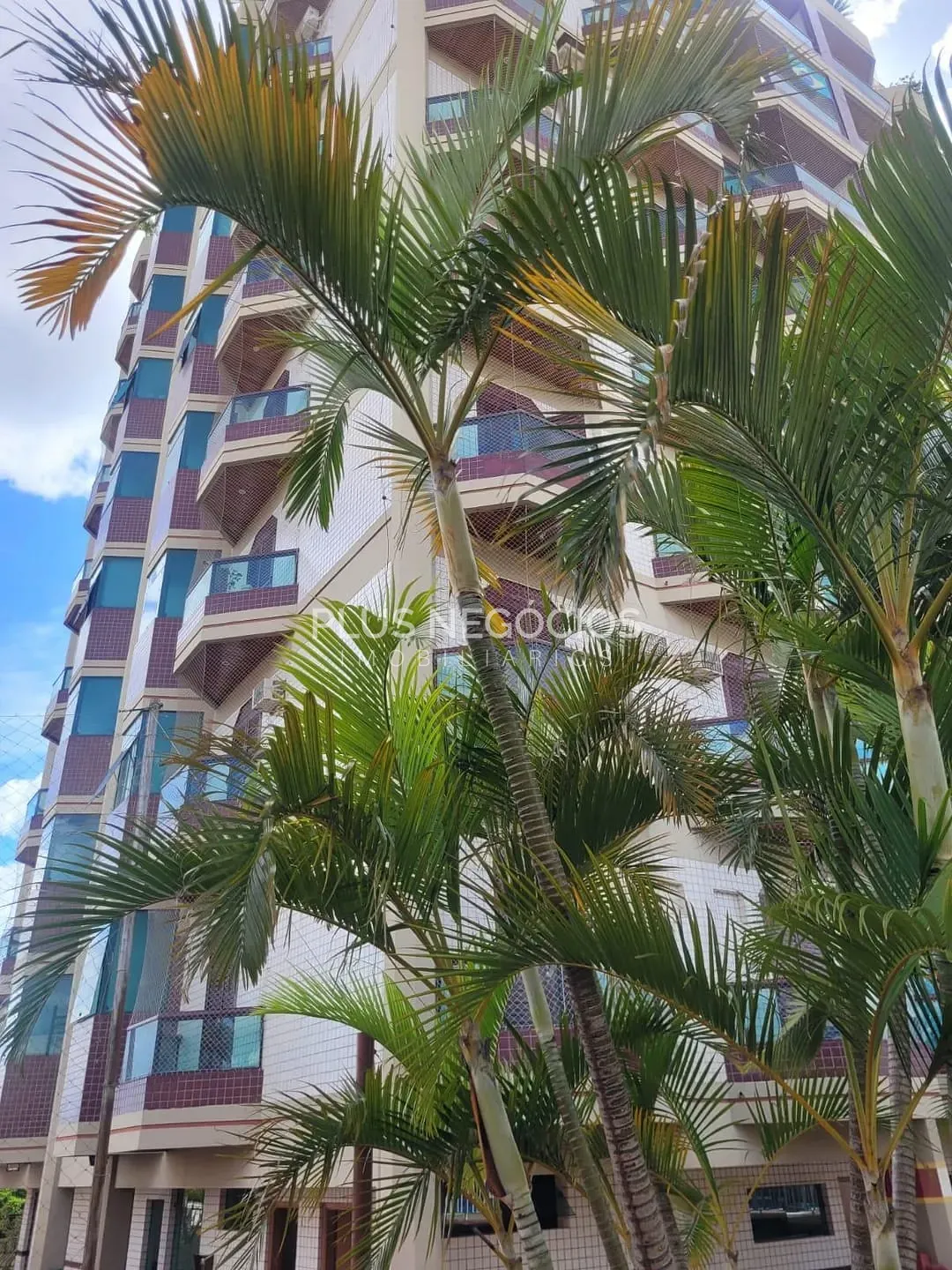 Apartamento, 3 quartos, 224 m² - Foto 1