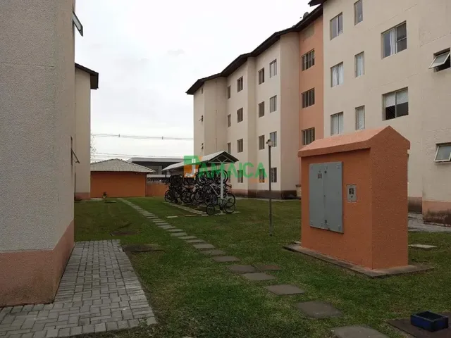 Apartamento 3 quartos e 1 banheiro, à venda, no bairro INA em São José Dos Pinhais