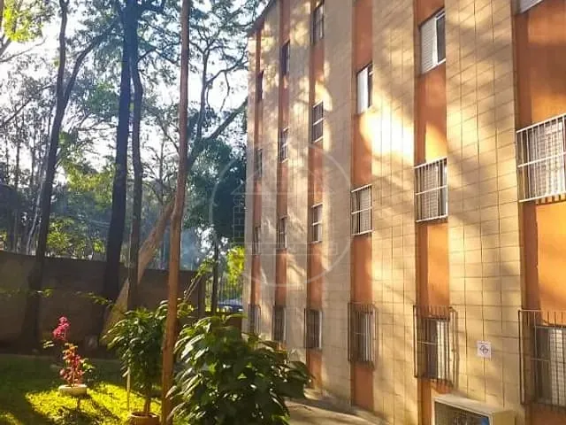 Apartamento 3 quartos e 1 banheiro, à venda, no bairro Parque das Árvores em São Paulo