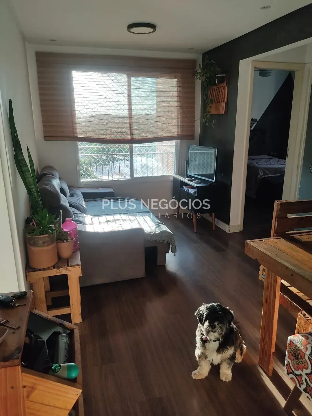 Apartamento, 2 quartos, 50 m² - Foto 1