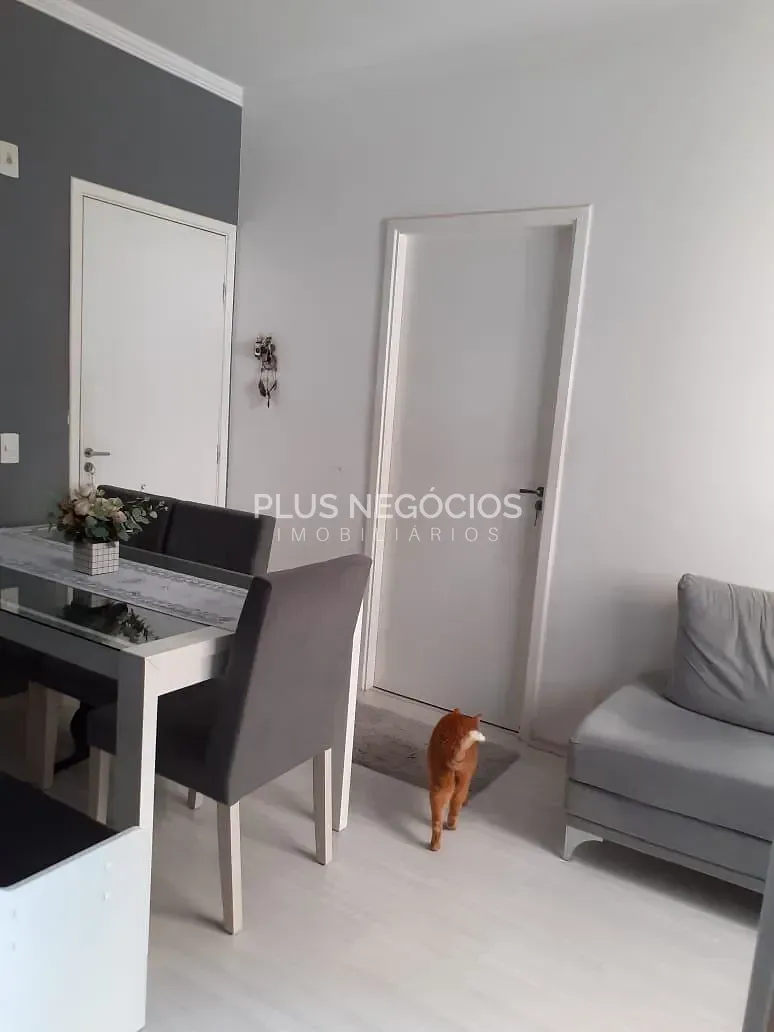 Apartamento, 2 quartos, 49 m² - Foto 21