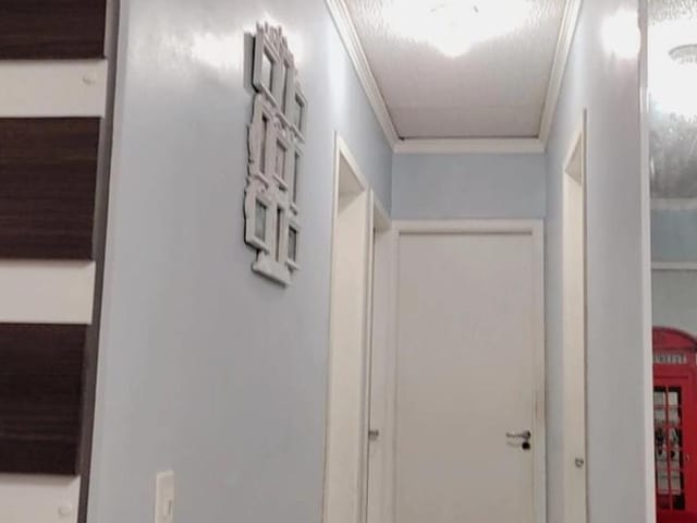 Apartamento com 56m² 3 quartos e 1 banheiro, à venda, no bairro Jardim São Miguel em Ferraz de Vasconcelos