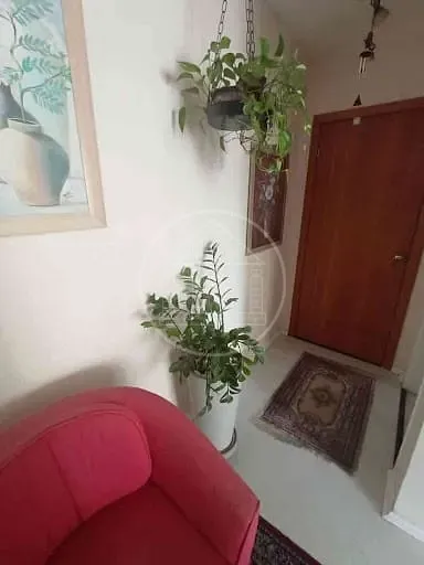Apartamento, 4 quartos, 93 m² - Foto 18