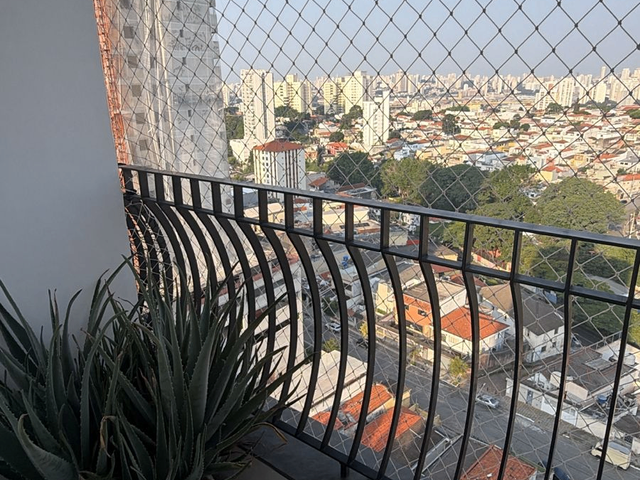 Apartamento 3 quartos e 1 banheiro, para alugar, no bairro Cambuci em São Paulo