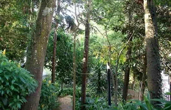 Apartamento, 3 quartos, 178 m² - Foto 33