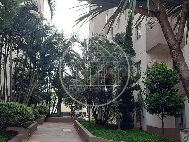 Apartamento com 60m² 3 quartos e 1 banheiro, à venda, no bairro Vila Inglesa em São Paulo