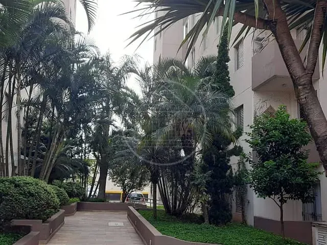 Apartamento com 60m² 3 quartos e 1 banheiro, à venda, no bairro Vila Inglesa em São Paulo