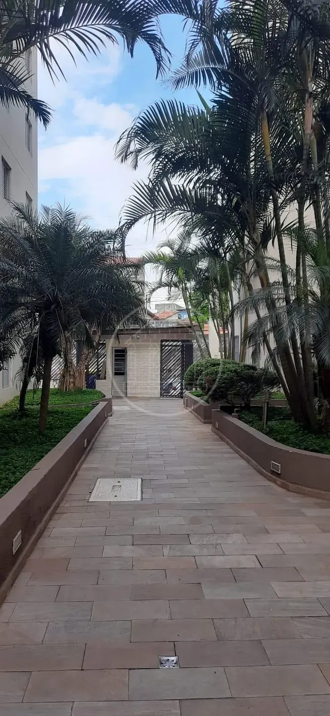 Apartamento, 3 quartos, 60 m² - Foto 4