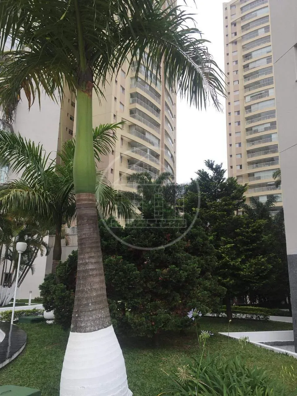 Apartamento, 3 quartos, 75 m² - Foto 29