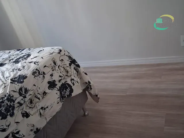 Apartamento com 74m² 3 quartos e 1 banheiro, à venda, no bairro São Bernardo em Campinas