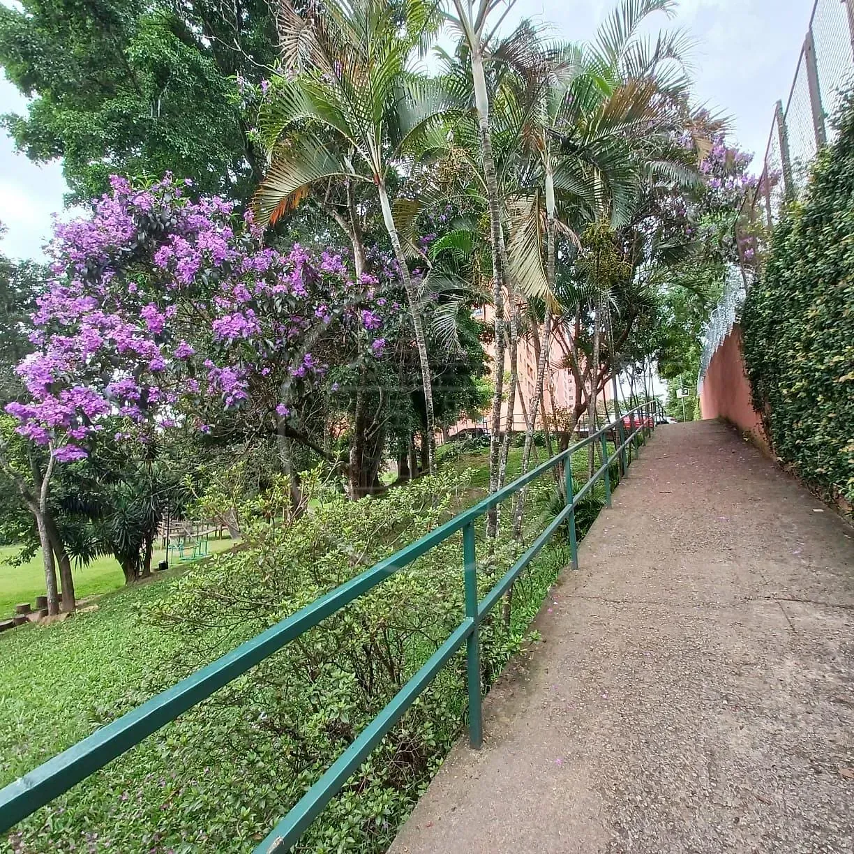 Apartamento, 3 quartos, 67 m² - Foto 27