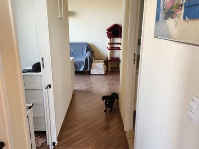 Foto do Apartamento - Apartamento com 3 dormitórios à venda, 65 m² por R$ 490.000,00 - Vila Pirituba - São Paulo/SP | Pitale Imóveis Ltda.