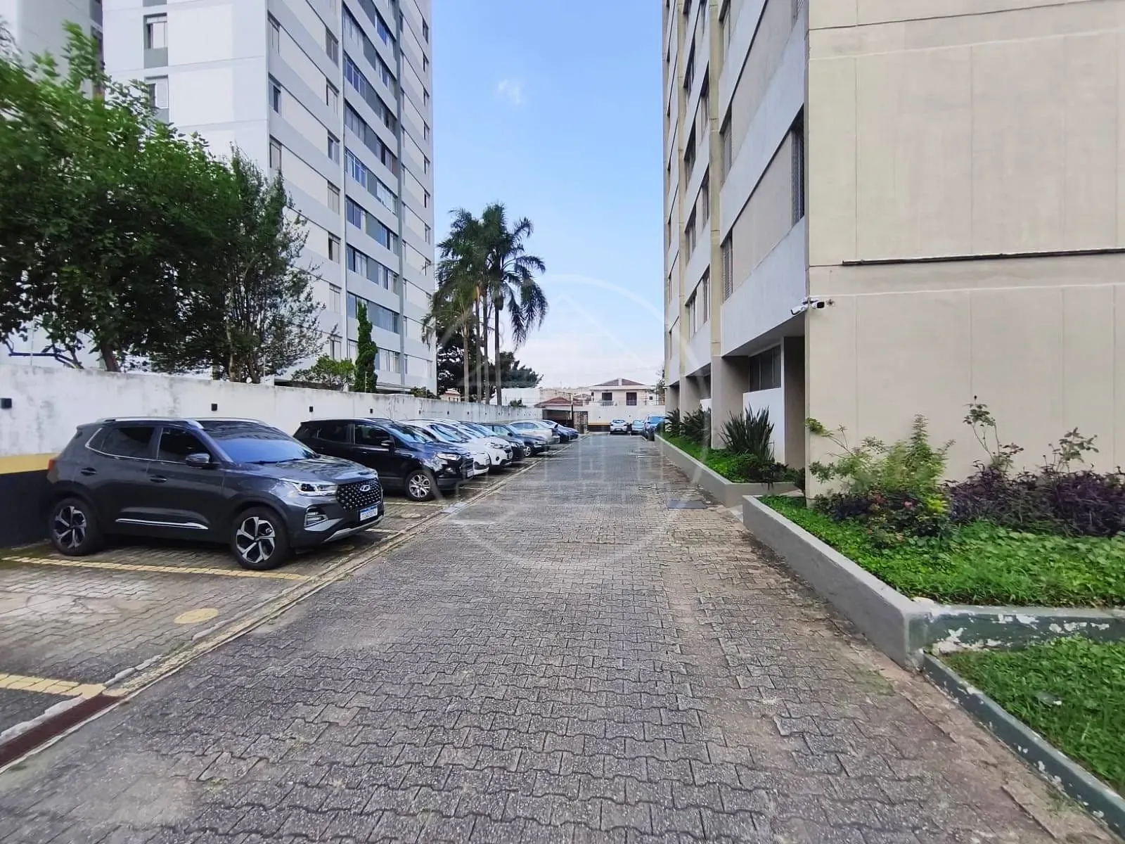 Apartamento, 3 quartos, 85 m² - Foto 25