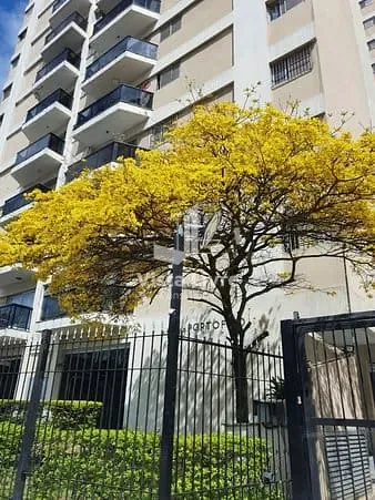 Apartamento, 3 quartos, 86 m² - Foto 39