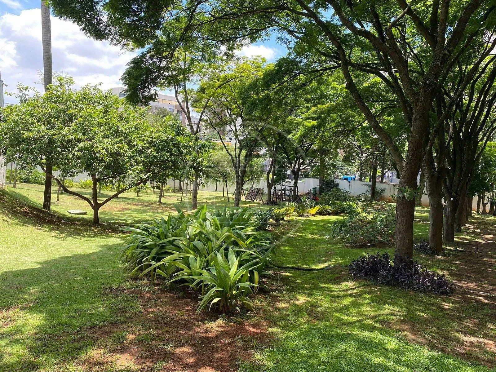Apartamento, 3 quartos, 81 m² - Foto 3