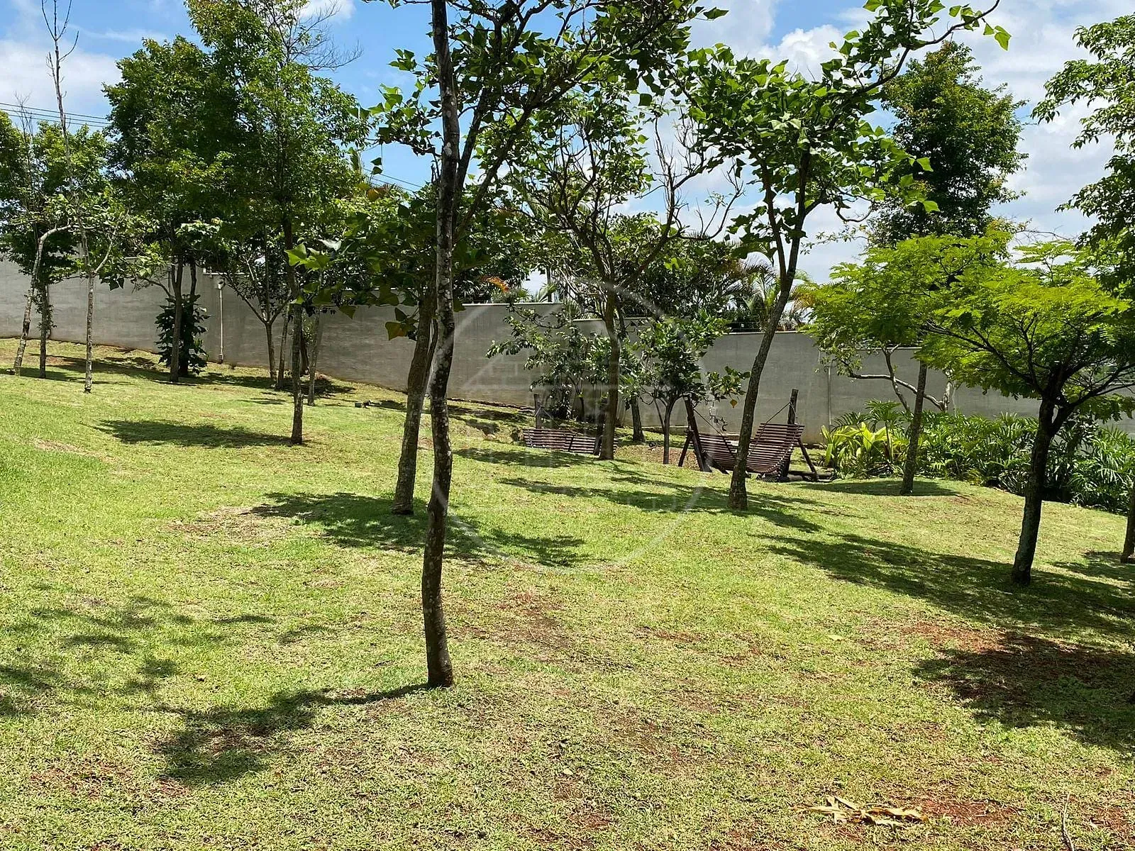 Apartamento, 3 quartos, 81 m² - Foto 7