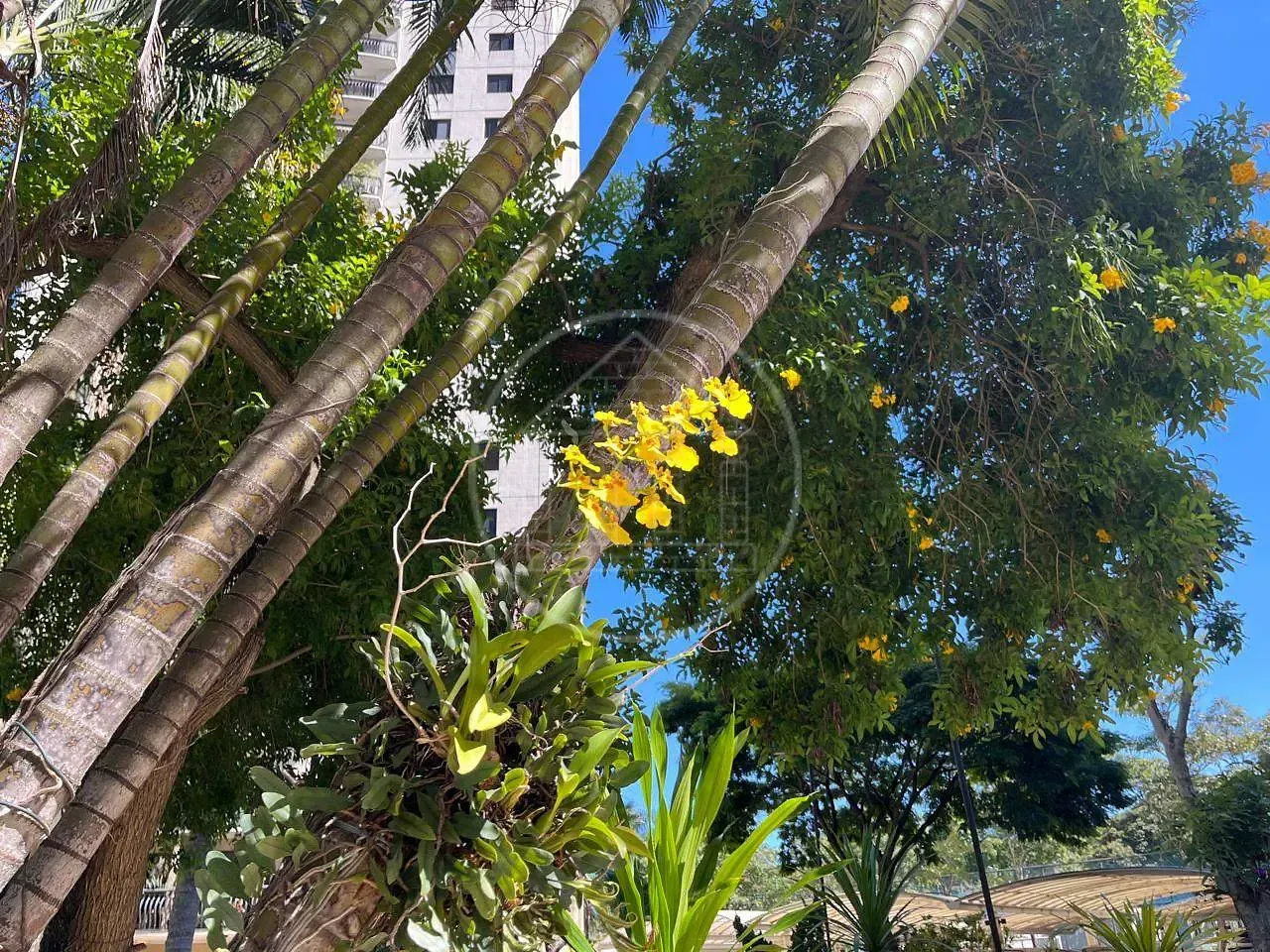 Apartamento, 4 quartos, 102 m² - Foto 15