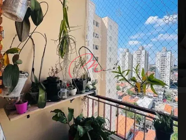 Apartamento 3 quartos e 3 banheiros, à venda, no bairro Vila Butantã em São Paulo